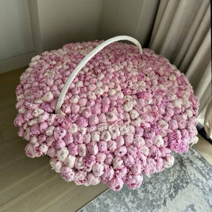 Корзина 555 пионов в Тольятти