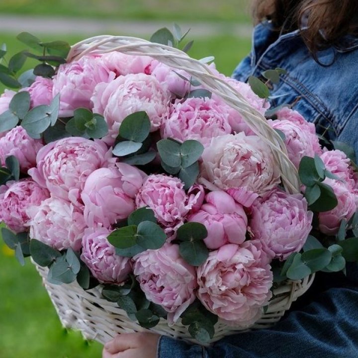 51 пион в корзине в Тольятти