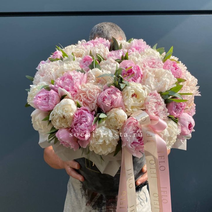 51 пионов в боксе в Тольятти