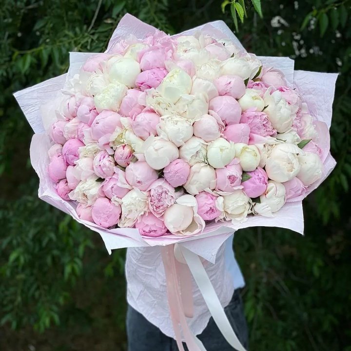 101 пион в Тольятти