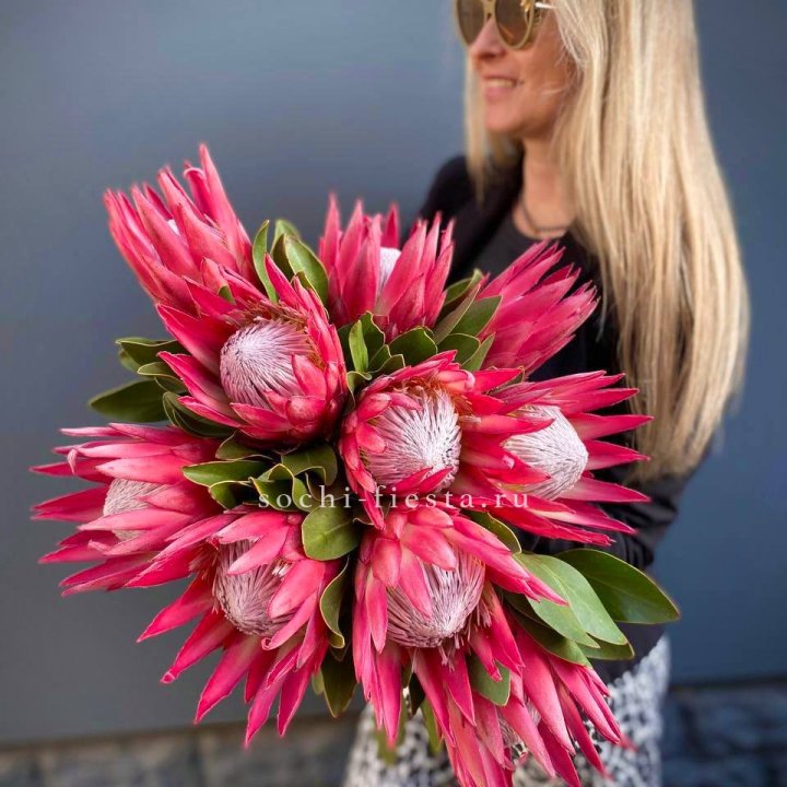 Протея штучно в Тольятти