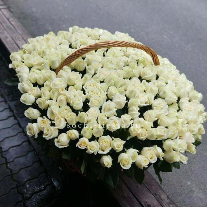 303 розы в корзине в Тольятти