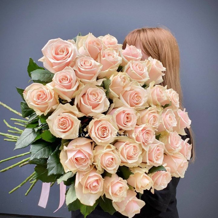 35 кремовых высоких роз в Тольятти