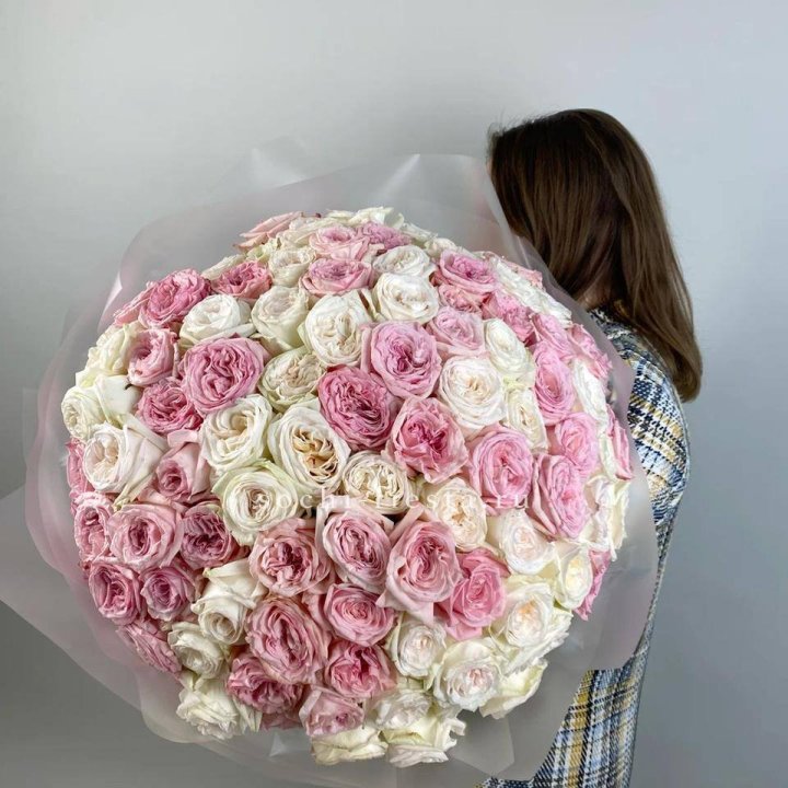 101 роз Охара в Тольятти