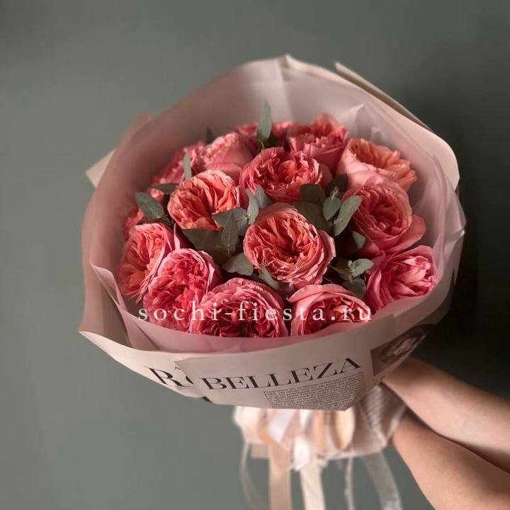 15 Пинк экспрешен в Тольятти