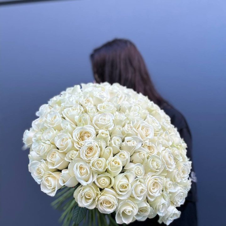 Охапка из 101 белой розы  в Тольятти