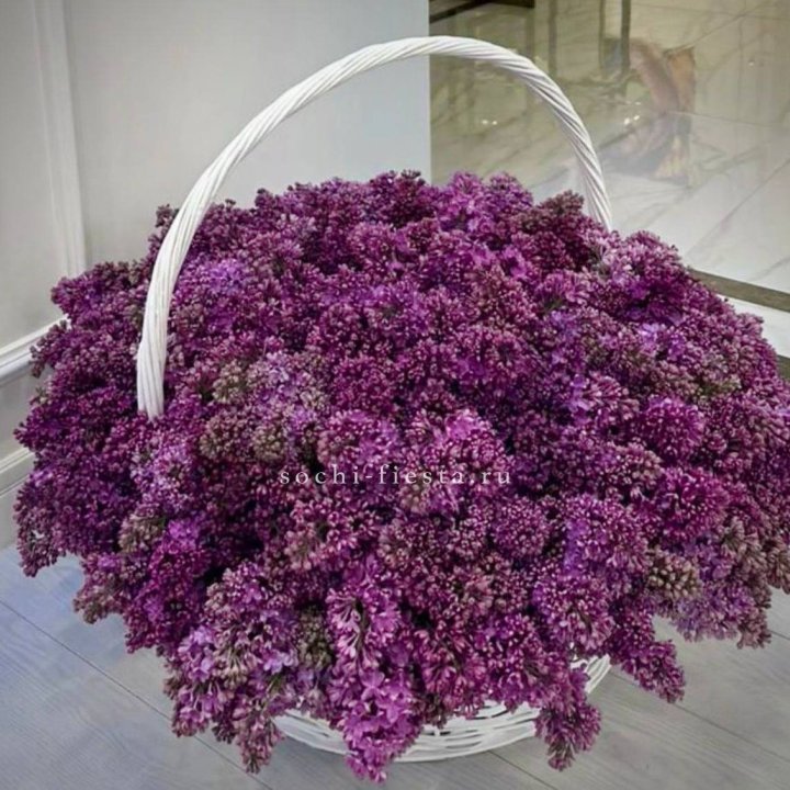 Корзина сирени в Тольятти