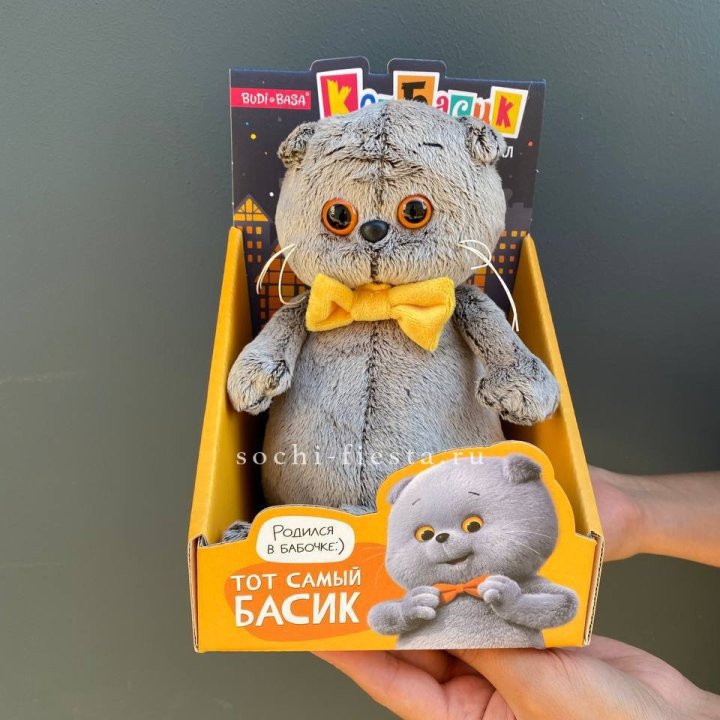 Кот Басик с бабочкой в Тольятти