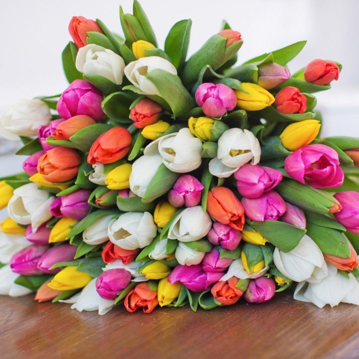 79 тюльпанов "Рандом" в Тольятти