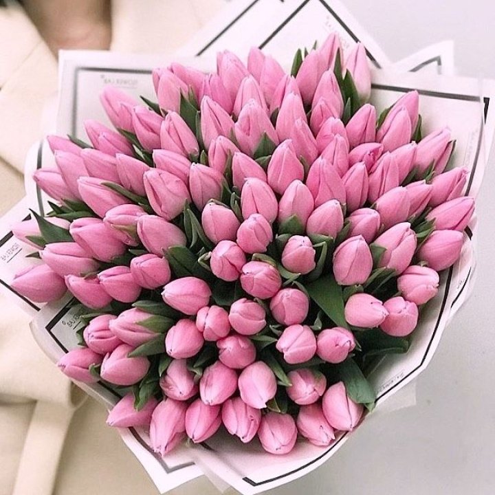 101 розовый тюльпан в белом в Тольятти