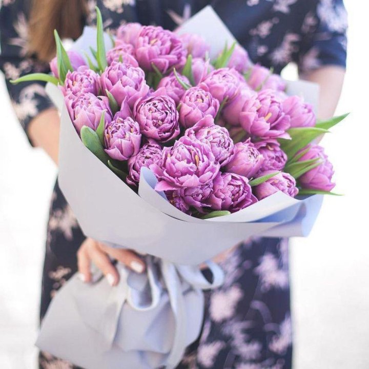 Тюльпаны "Пионс" в Тольятти