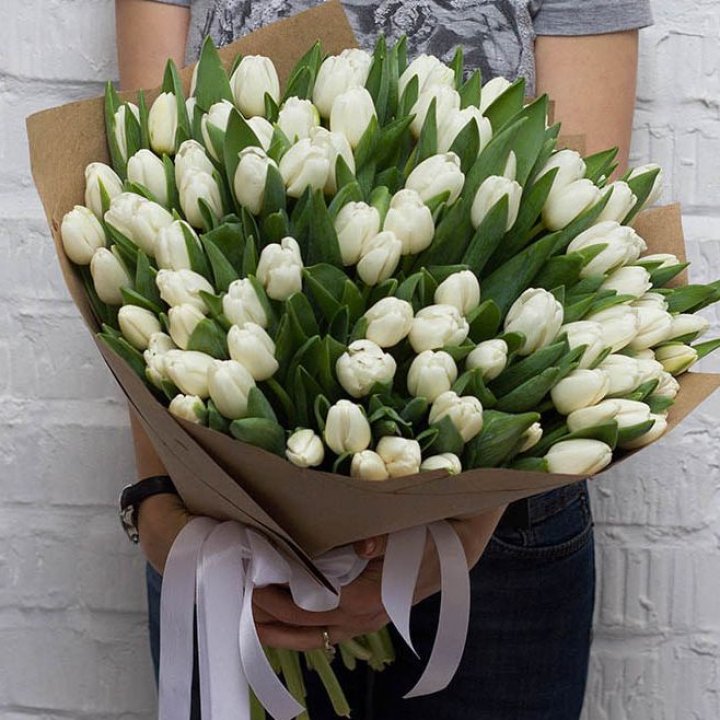 101 тюльпан сноу в Тольятти