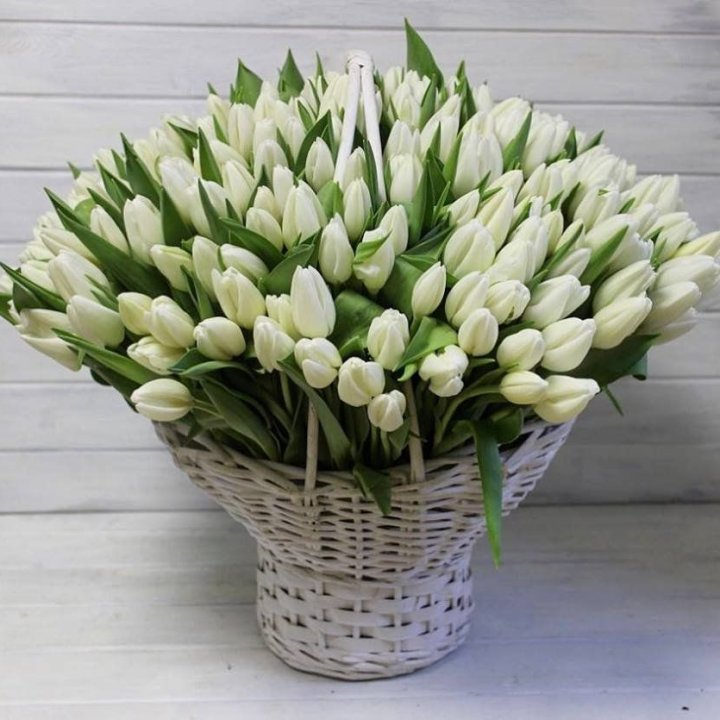 Корзина из 151 тюльпана в Тольятти