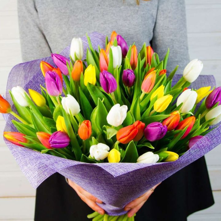 51 тюльпан "Рандом" №2 в Тольятти