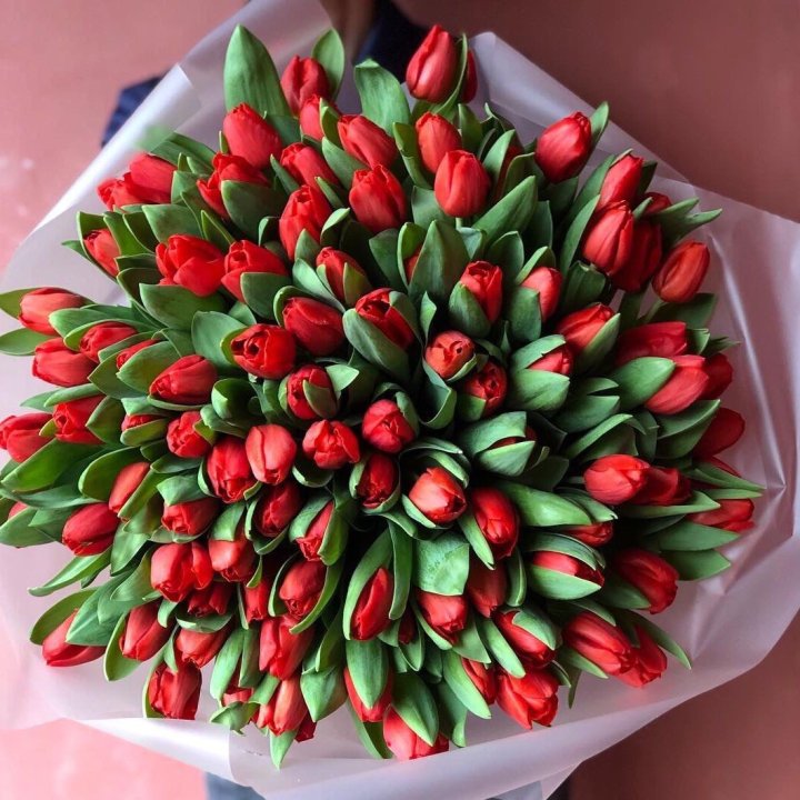 101 красный тюльпан в Тольятти